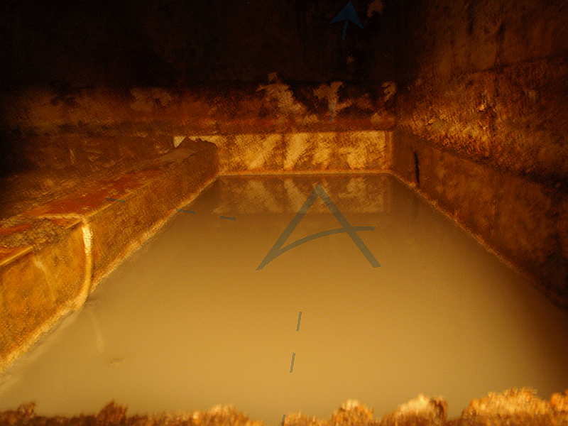 03_After 2.5 Weeks_800x600_MA.png